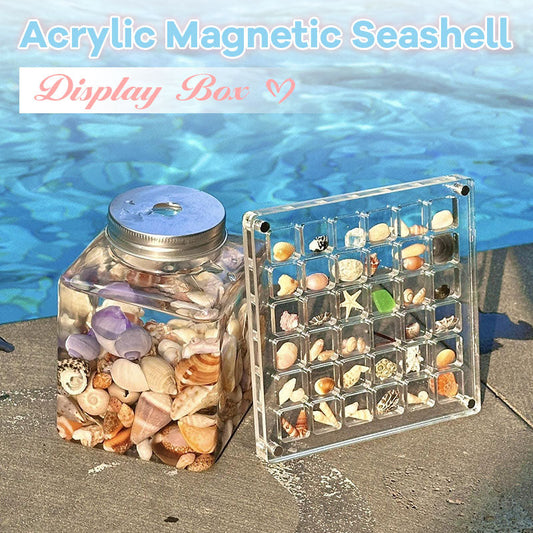 Magnetische Muschel-Displaybox aus Acryl